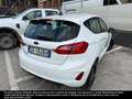 Ford Fiesta 5 Porte 1.5 EcoBlue Business Blanc - thumbnail 4