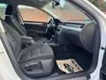 Skoda Superb 1,6 TDI DSG*KEIN PICKERL*EXPORT*NAVI*KLIMA*MFL* Weiß - thumbnail 12
