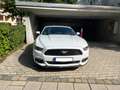 Ford Mustang Mustang Cabrio 3.7 v6 Weiß - thumbnail 3