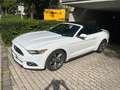 Ford Mustang Mustang Cabrio 3.7 v6 Weiß - thumbnail 2