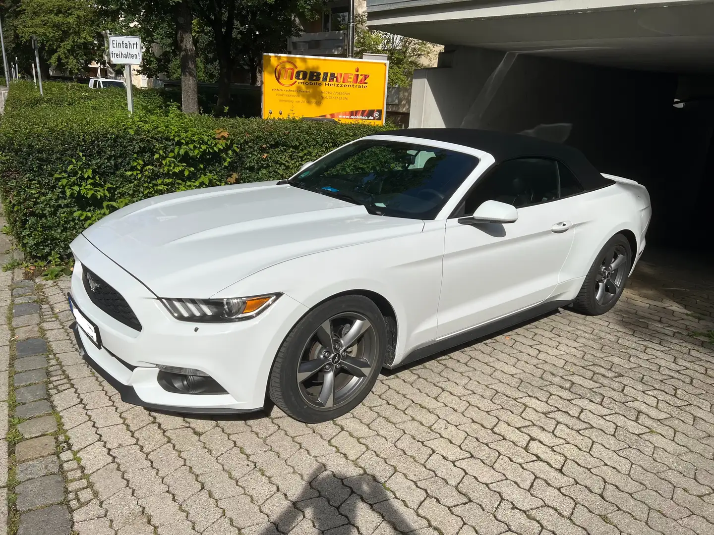 Ford Mustang Mustang Cabrio 3.7 v6 Weiß - 2