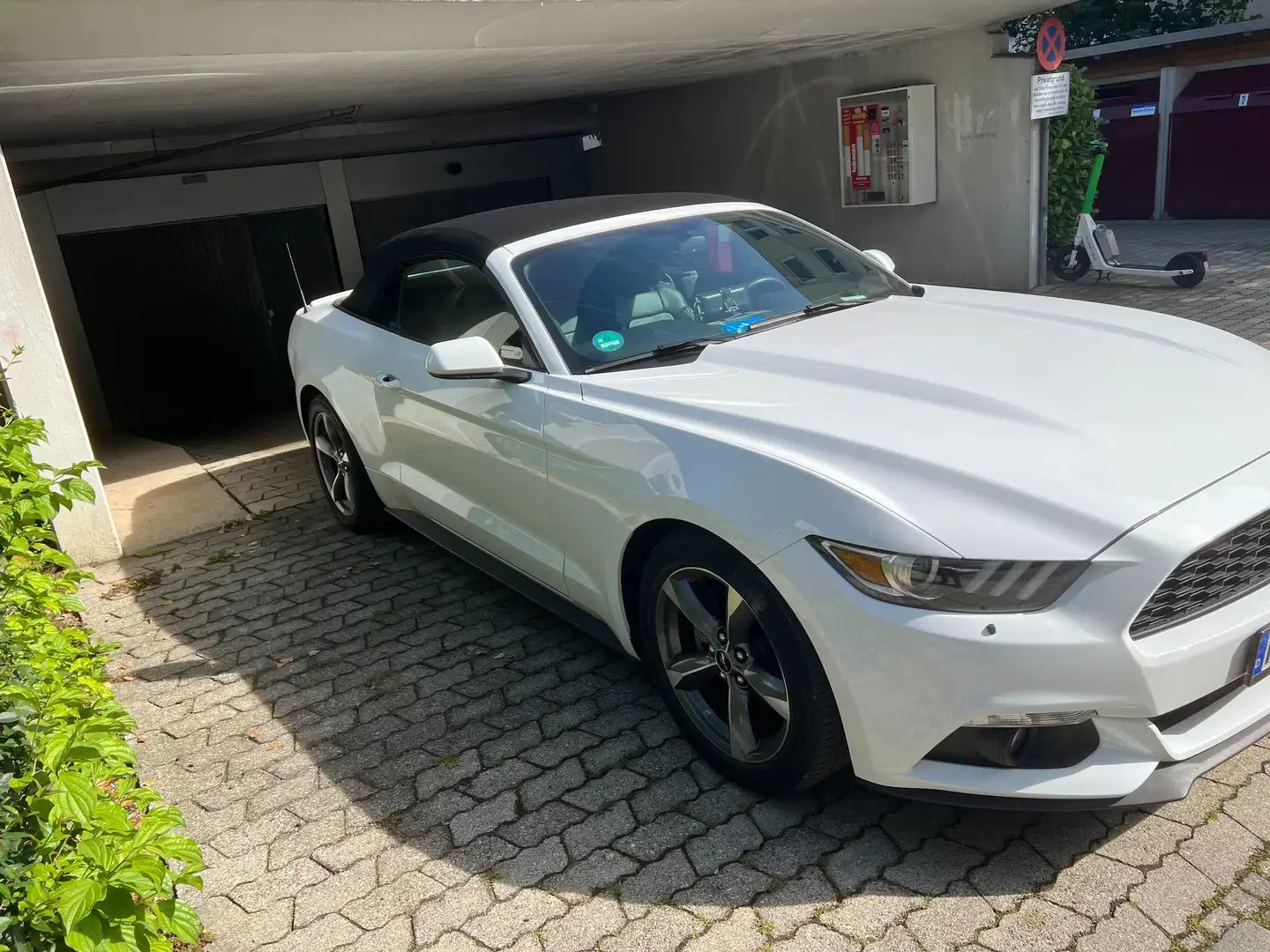 Ford Mustang Mustang Cabrio 3.7 v6 Weiß - 1