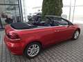 Volkswagen Golf Cabriolet wenig Kilometer !!! Top Zustand Rojo - thumbnail 17