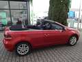 Volkswagen Golf Cabriolet wenig Kilometer !!! Top Zustand Rojo - thumbnail 15