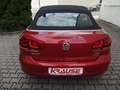 Volkswagen Golf Cabriolet wenig Kilometer !!! Top Zustand Rojo - thumbnail 7
