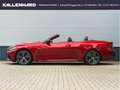 BMW 440 xDrive Cabrio-LCI-Nackenwärmer-DrivingAssProf Rot - thumbnail 6