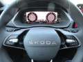 Skoda Octavia Sportline TDI DSG Grau - thumbnail 15