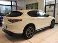 Alfa Romeo Stelvio Stelvio 2.2 Turbodiesel 210 CV AT8 Q4 Veloce MY24 Alb - thumbnail 7