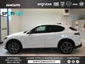 Alfa Romeo Stelvio Stelvio 2.2 Turbodiesel 210 CV AT8 Q4 Veloce MY24 Alb - thumbnail 1
