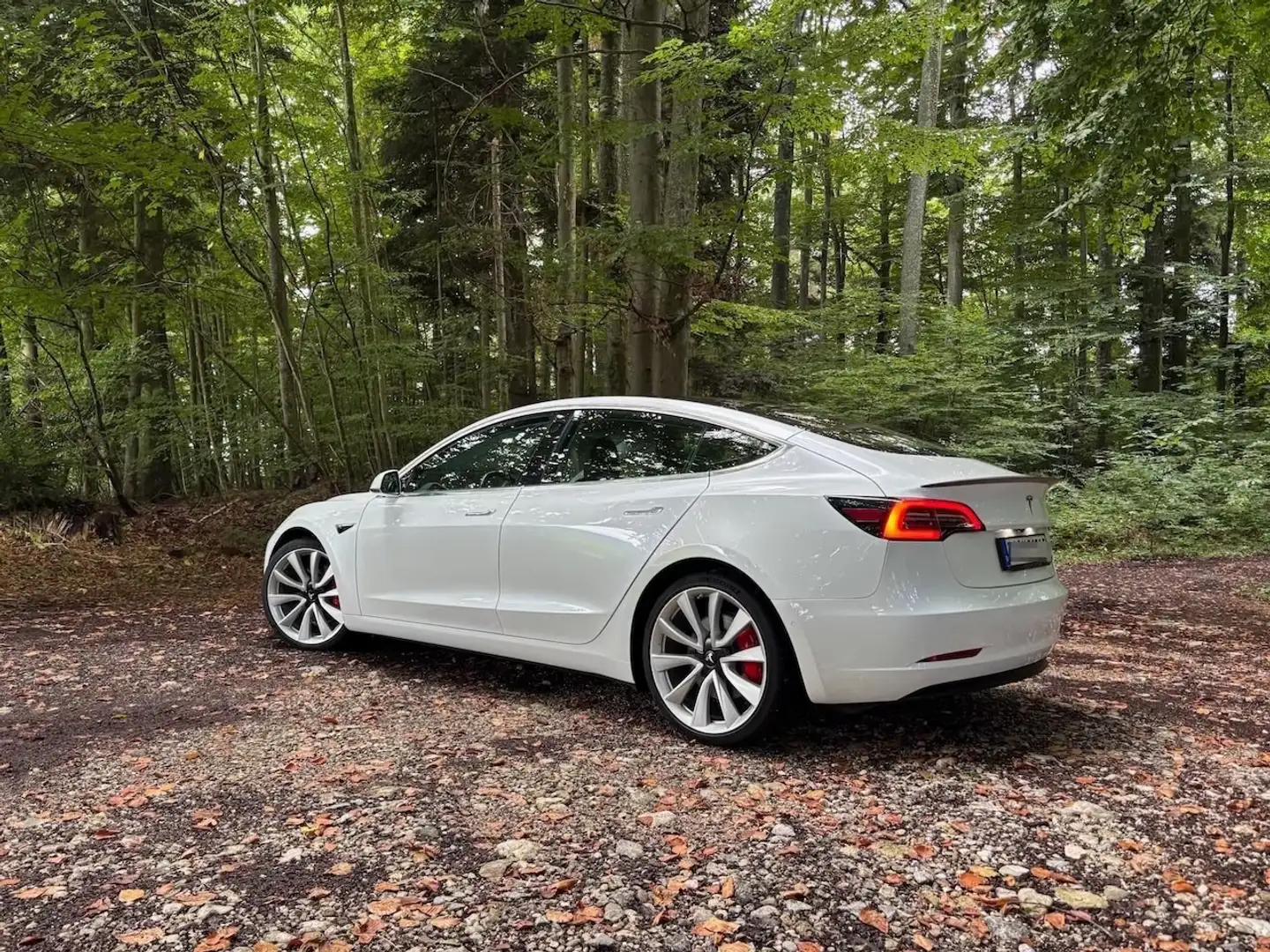 Tesla Model 3 Model 3 Performance Weiß - 2