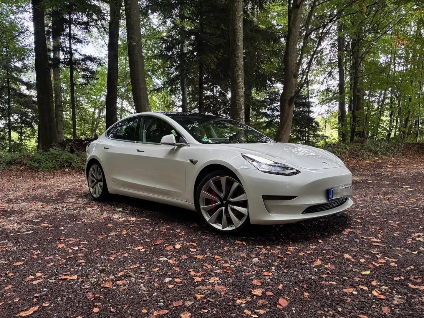 Tesla Model 3 Model 3 Performance Weiß - 1