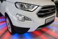 Ford EcoSport Titanium *LED*PDC*SHZ*LEDER*KLIMA*MFL* Weiß - thumbnail 29