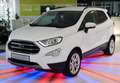 Ford EcoSport Titanium *LED*PDC*SHZ*LEDER*KLIMA*MFL* Weiß - thumbnail 1