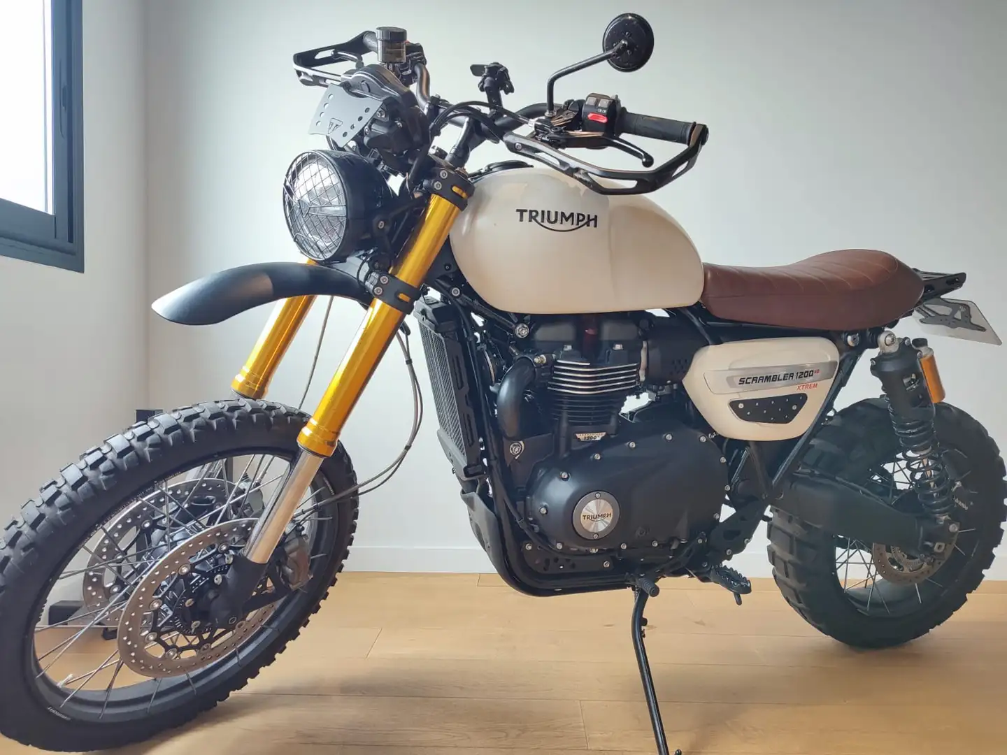 Triumph - 1