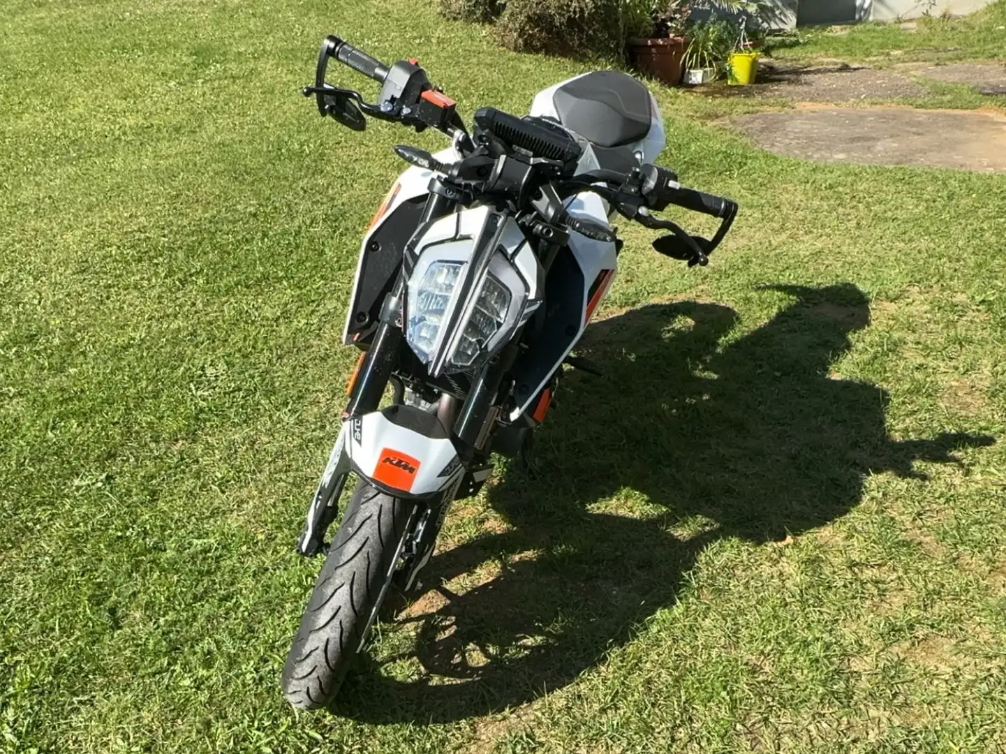 KTM 390 Duke Alb - 2