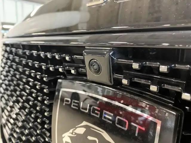 Peugeot 308 view 13
