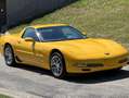 Corvette C5 Z06 ls6 Giallo - thumbnail 3