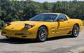 Corvette C5 Z06 ls6 Giallo - thumbnail 5