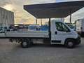 Fiat Ducato 35 2.3 MJT 130CV CASSONE FISSO Blanc - thumbnail 3