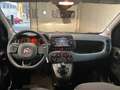 Fiat Panda 3 1.0 Hybrid 70 MT6 - Gris - thumbnail 8