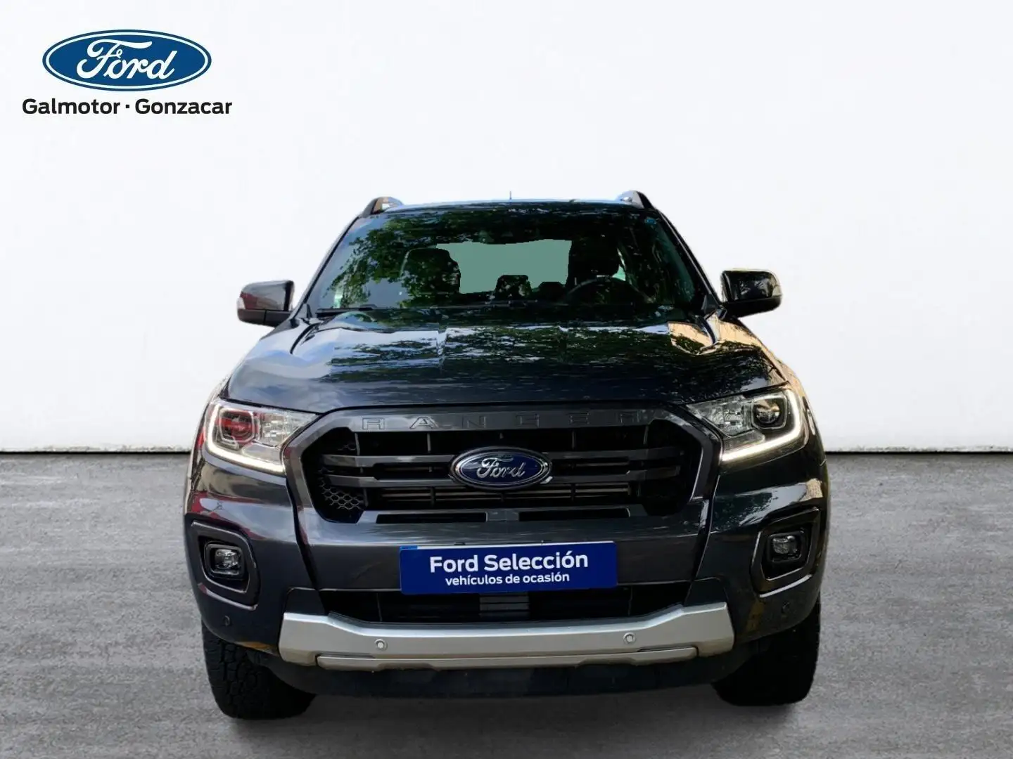 Ford Ranger 2.0 TDCI 157KW DOUB CAB WILDTRACK 4WD AT 4P Gris - 2