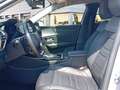 Citroen C5 X 1.2 Puretech Shine EAT8 130 Gris - thumbnail 11