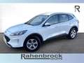 Ford Kuga Cool & Connect PlugInHybrid - AUTOMATIK Blanc - thumbnail 1