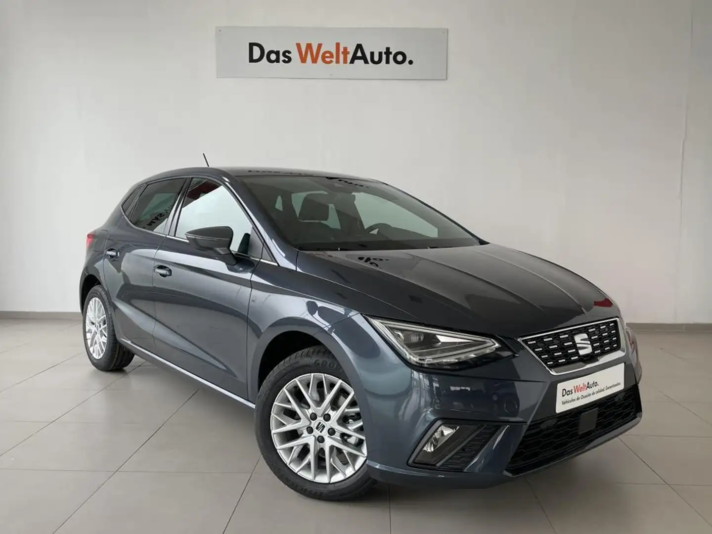 SEAT Ibiza 1.0 TSI S&S Special Edition 110 Gris - 1