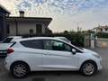 Ford Fiesta 1.5 TDCi 85 CV 3 porte Van Trend Bianco - thumbnail 6