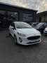 Ford Fiesta 1.5 TDCi 85 CV 3 porte Van Trend Bianco - thumbnail 3