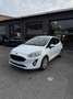 Ford Fiesta 1.5 TDCi 85 CV 3 porte Van Trend Bianco - thumbnail 1