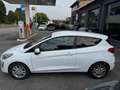 Ford Fiesta 1.5 TDCi 85 CV 3 porte Van Trend Bianco - thumbnail 4