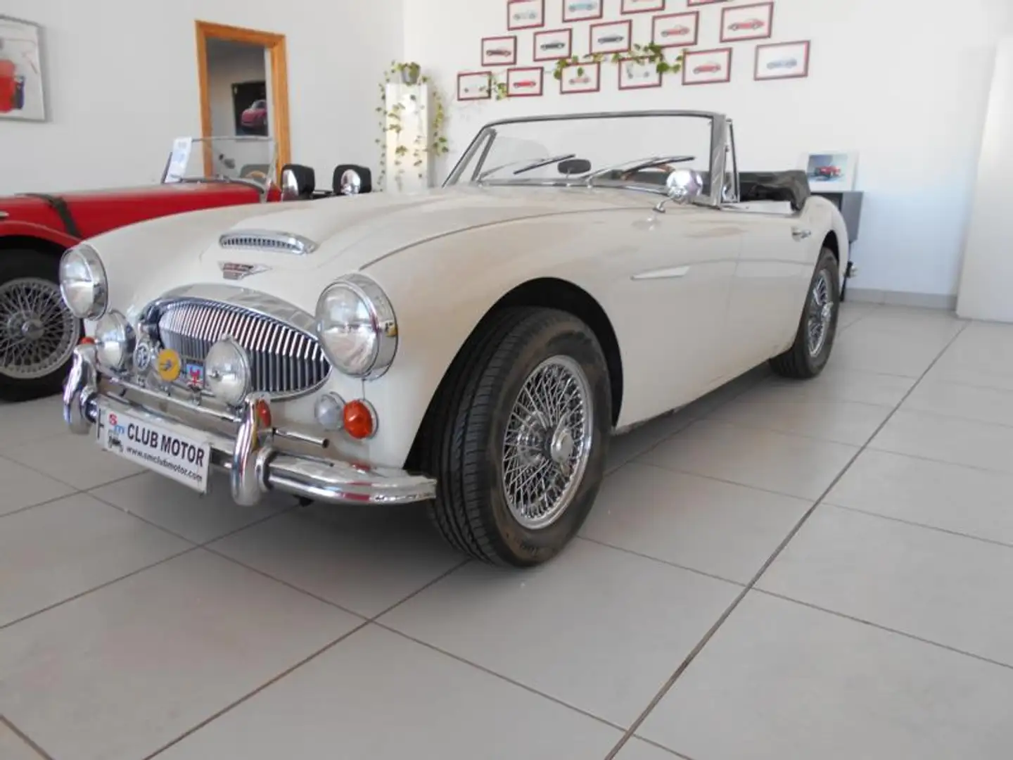 Austin-Healey 3000 Mk III BJ8 - 1