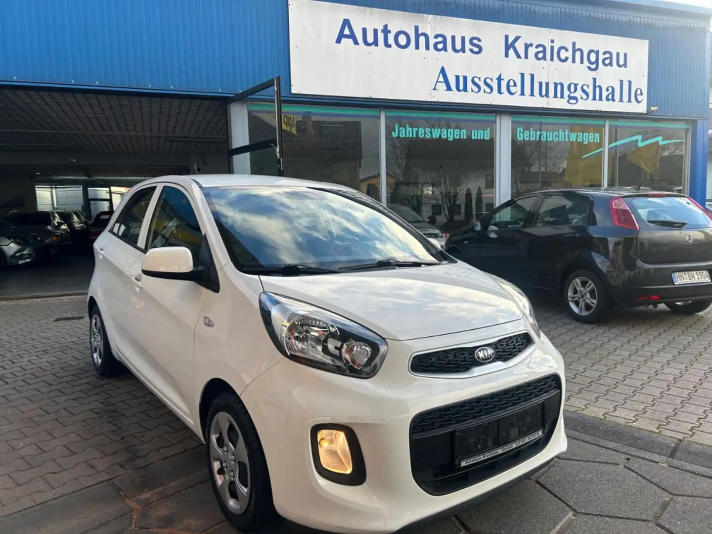 Kia Picanto Sensation Klima E-Fenster Inkl. Garantie Weiß - 1