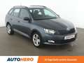 Skoda Fabia 1.0 MPI Cool Plus*PDC*SHZ*KLIMA*GARANTIE* Grau - thumbnail 8