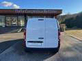 Mercedes-Benz Citan 111 cdi Long BluEff. E6d-temp  COIBENTATO ATP: IN Blanc - thumbnail 5