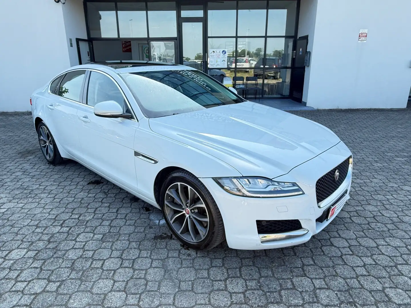Jaguar XF 3.0 D V6 300 CV aut. Prestige Bianco - 2