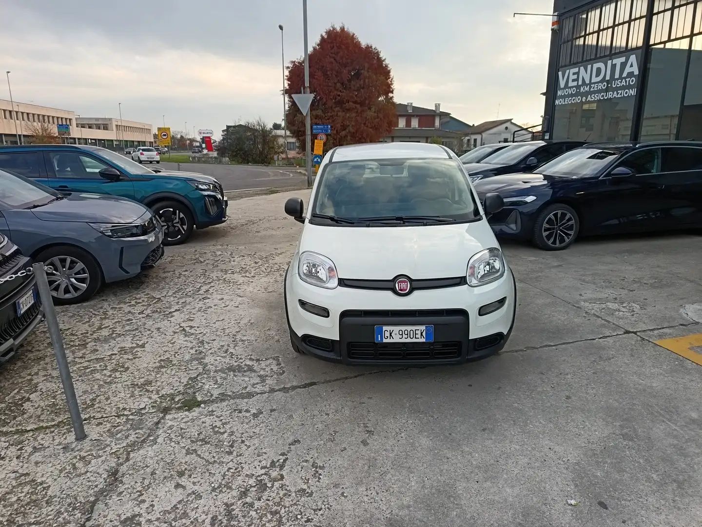 Fiat Panda Panda 1.0 hybrid Easy s Bianco - 1