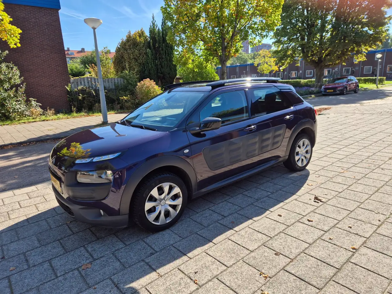 Citroen C4 Cactus