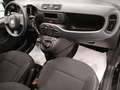 Fiat Panda 1.0 firefly hybrid s Grigio - thumbnail 11