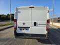 Fiat Ducato 33 2.3 MJT 130CV PC-TN Weiß - thumbnail 9