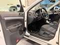 Skoda Octavia /Xenon/SHZ/PDC/Automatik Wit - thumbnail 12