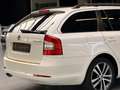 Skoda Octavia /Xenon/SHZ/PDC/Automatik Wit - thumbnail 10