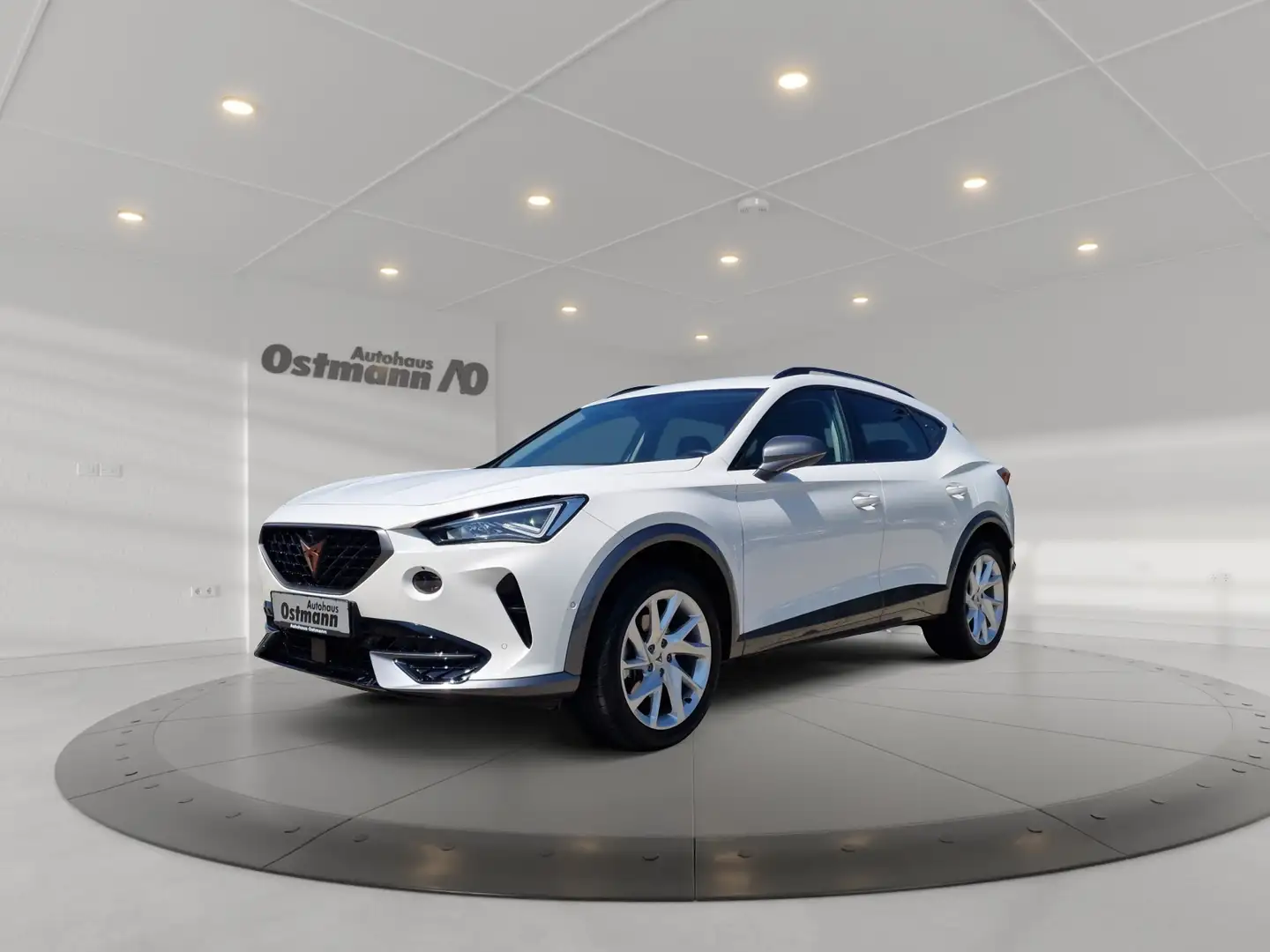 CUPRA Formentor 1.5 TSI ACC Navi 360 LED SHZ Climatr. Weiß - 1