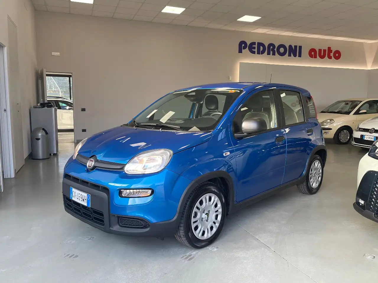 Fiat Pandina