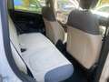 Fiat Panda Panda 0.9 t.air t. n.power80cv GARANZIA1 ANNO Beige - thumbnail 9