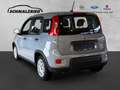 Fiat Panda Base 1.0 Mild Hybrid DAB Klima BT teilb.Rücksb eFH Grau - thumbnail 3