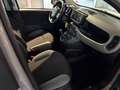 Fiat Panda Base 1.0 Mild Hybrid DAB Klima BT teilb.Rücksb eFH Grau - thumbnail 13