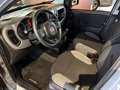 Fiat Panda Base 1.0 Mild Hybrid DAB Klima BT teilb.Rücksb eFH Grau - thumbnail 9