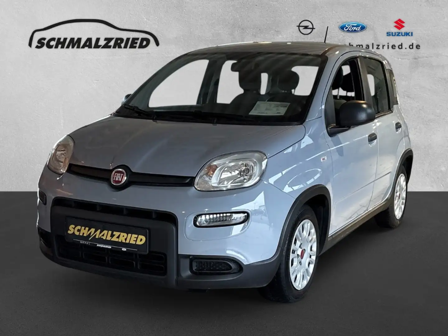 Fiat Panda Base 1.0 Mild Hybrid DAB Klima BT teilb.Rücksb eFH Grau - 1